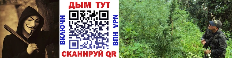 Виды наркотиков купить Верхний Уфалей COCAIN  Конопля  APVP  ГАШИШ  Меф мяу мяу 