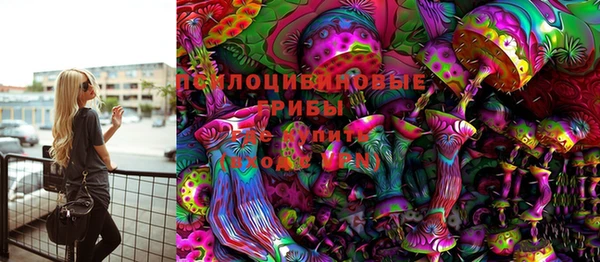сатива Богданович