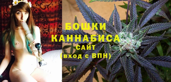 ПСИЛОЦИБИНОВЫЕ ГРИБЫ Богородск