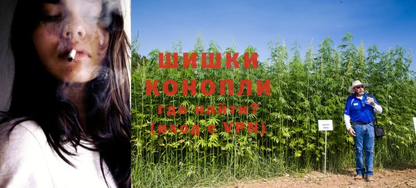 спайс Богородицк