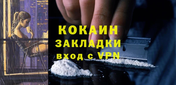 сатива Богданович