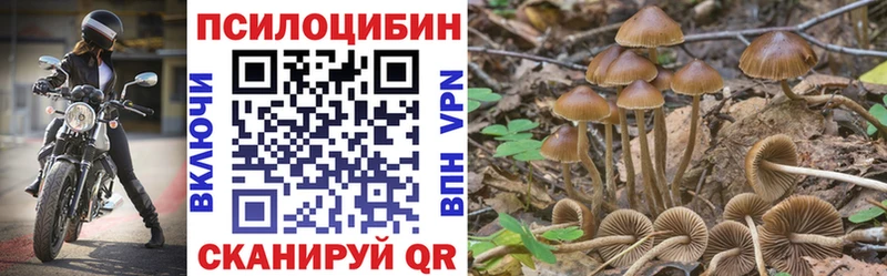 Псилоцибиновые грибы Magic Shrooms  где купить наркотик  Верхний Уфалей 